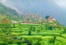 الرييم.. عزلة في ريمة تحتفظ بتاريخ “الصرادف” وتنوع السلالات