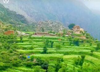 الرييم.. عزلة في ريمة تحتفظ بتاريخ “الصرادف” وتنوع السلالات