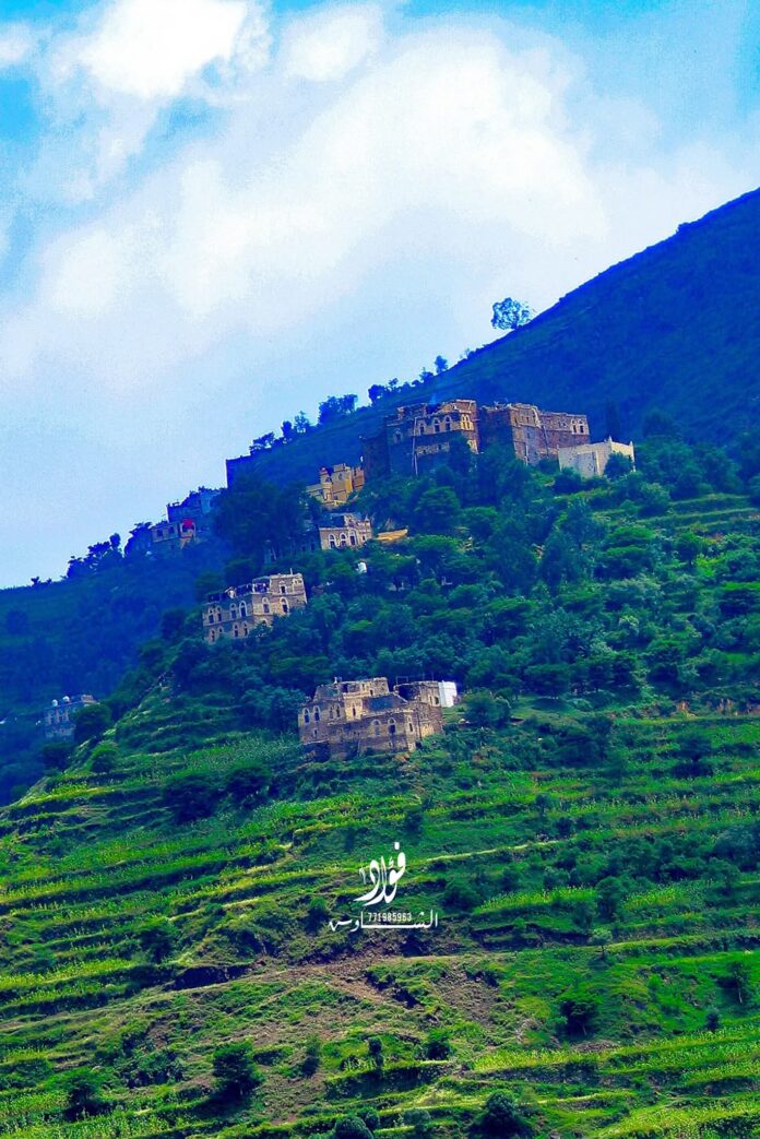 FB_IMG_1768038475158