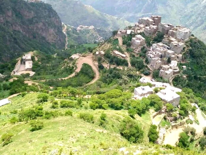 ٢٠٢٦٠١٠٤_٢١٢٢١٢