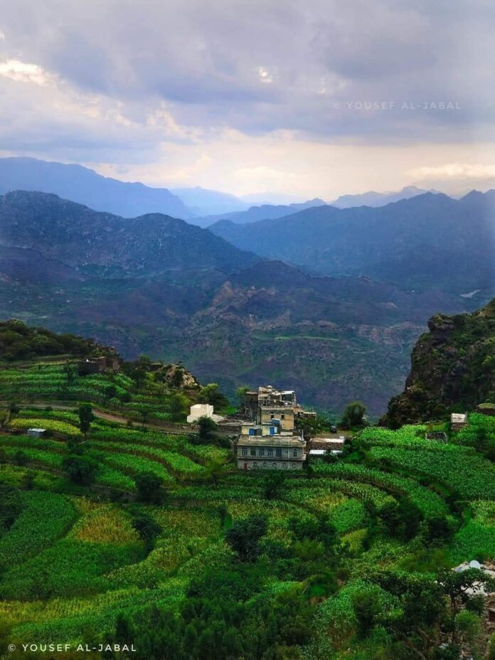 FB_IMG_1775350734585