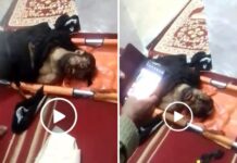 العثور على جثمان مواطن جرفته السيول في مديرية الجعفرية بريمة